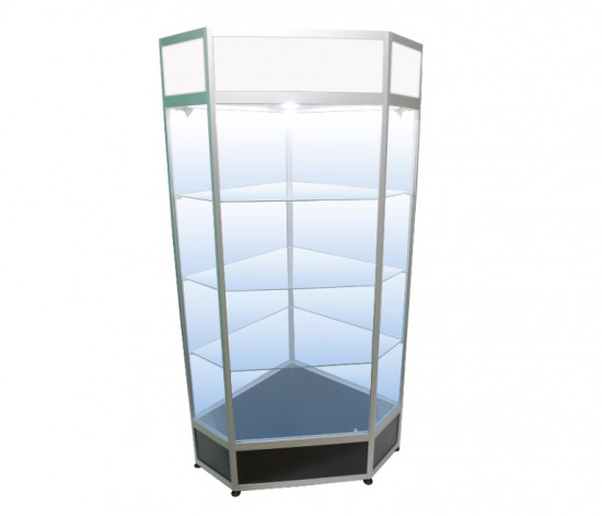 Witryna WS21F-PC